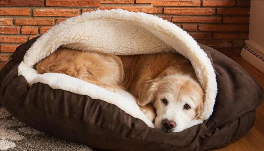 Freshens Pet Bedding